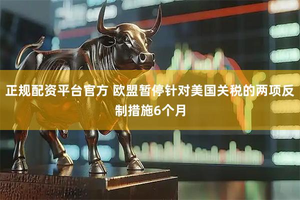正规配资平台官方 欧盟暂停针对美国关税的两项反制措施6个月