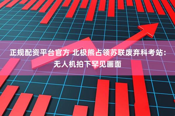 正规配资平台官方 北极熊占领苏联废弃科考站：无人机拍下罕见画面